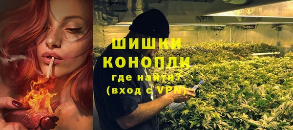 ПСИЛОЦИБИНОВЫЕ ГРИБЫ Верея