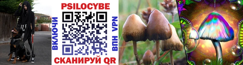 Галлюциногенные грибы MAGIC MUSHROOMS  Купить где  Павловск 